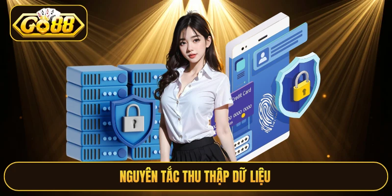 Nguyên tắc thu thập dữ liệu 